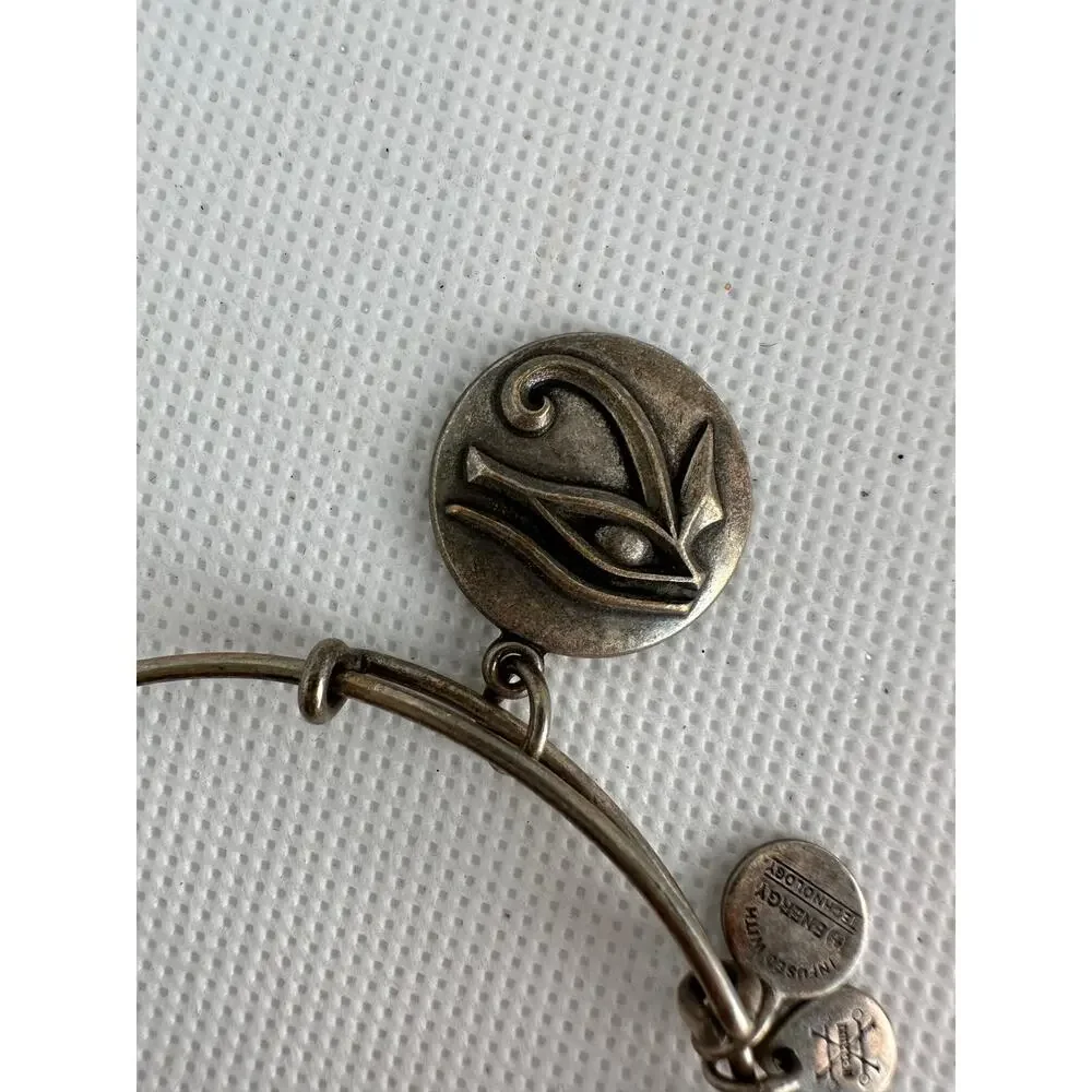 Alex and Ani Bracelet Eye of Horus